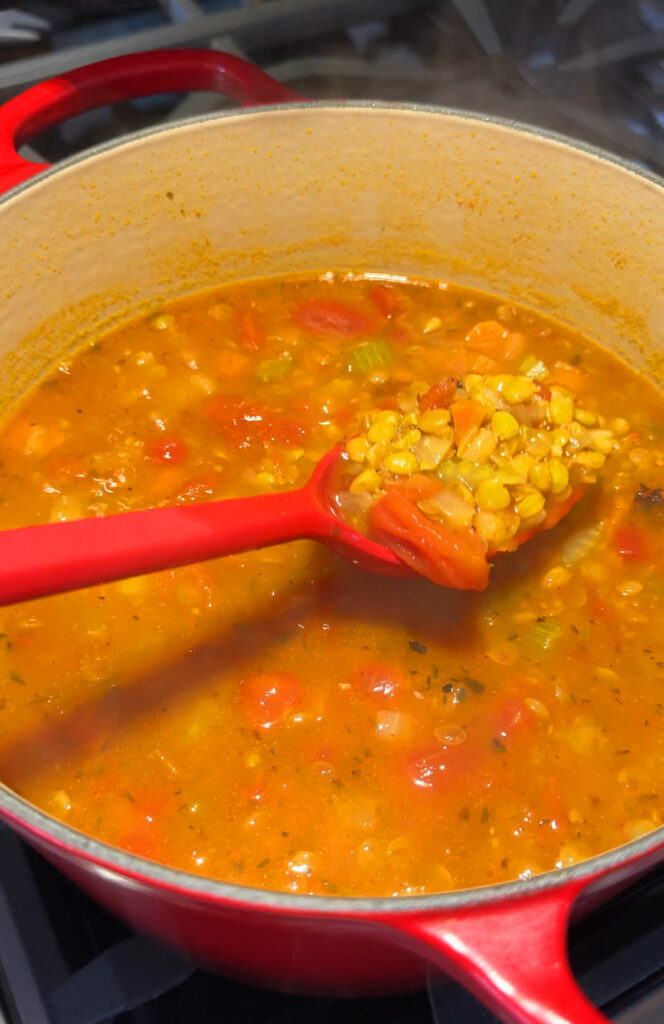 Hearty, Healthy, Tomatoey Goya Lentil Soup Recipe
