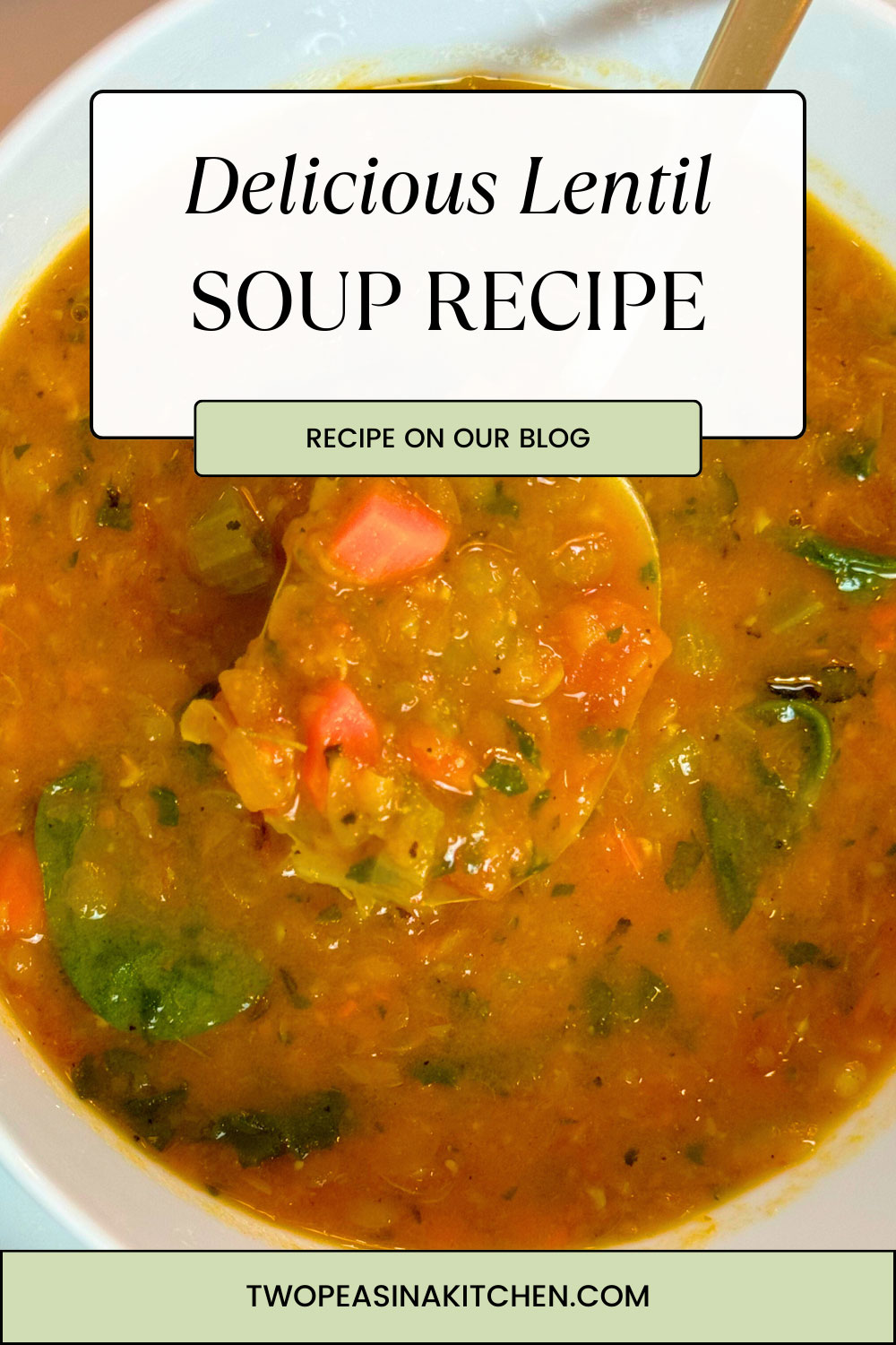 Hearty, Healthy, Tomatoey Goya Lentil Soup Recipe